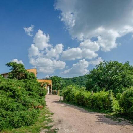 Gite Du Mont Plaisir Villa Chouvigny Exteriör bild